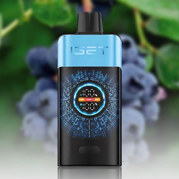 IGET ONE Blueberry Ice | Buy Online Australia | Vape Link