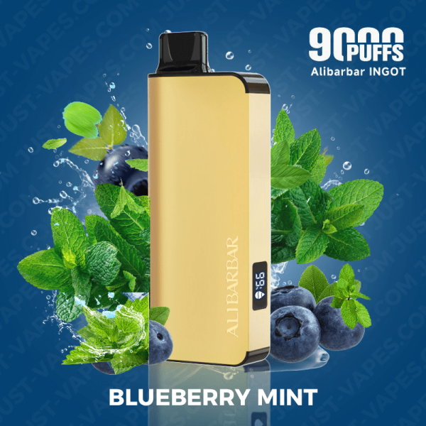Blueberry Mint  – ALIBARBAR Ingot 9000 Puff Vape | Buy Online Australia | Vape Link