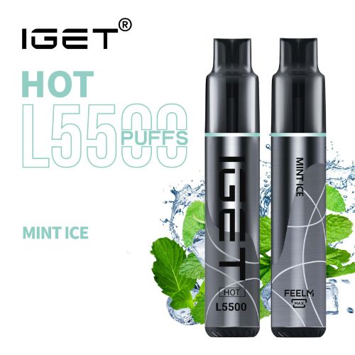 Mint Ice – HOT | Buy Online Australia | Vape Link